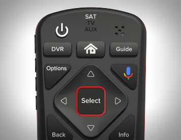 Screenshot of the voice remote